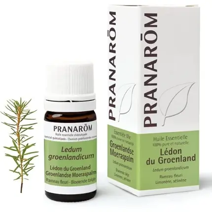 Ulei esențial, Pranarôm, Lédon du Groenland, 5ml Ofertă limitată