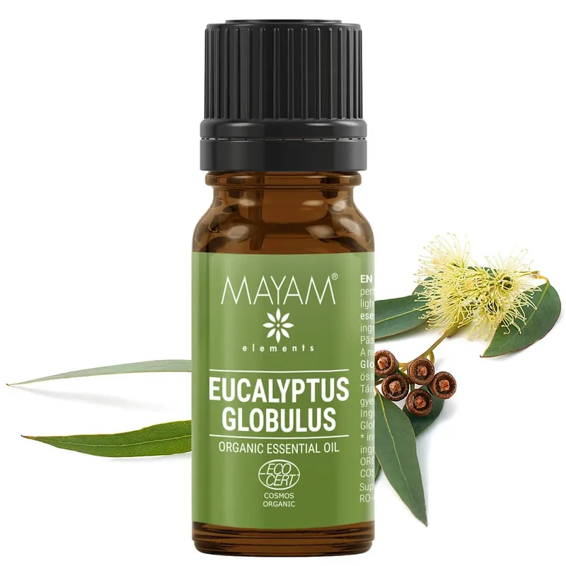 Ulei esential Eucalipt (M - 1030), 10 ml, Mayam Preț promoțional